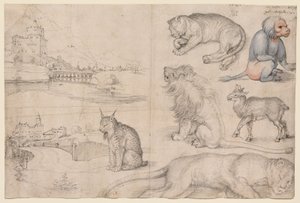  da Albrecht Dürer