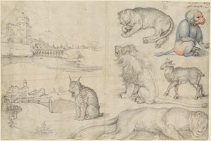 Schizzi di Animali e Paesaggi, 1521 da Albrecht Dürer