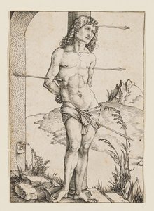  da Albrecht Dürer