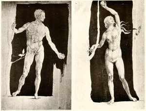 Studi su Adamo ed Eva da Albrecht Dürer
