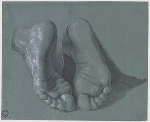 Studio di due piedi da Albrecht Dürer