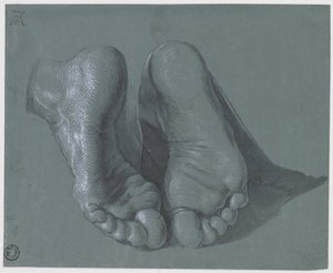 Studio di due piedi da Albrecht Dürer