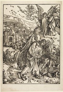  da Albrecht Dürer