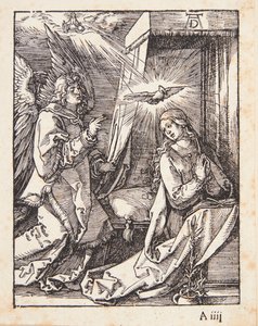  da Albrecht Dürer