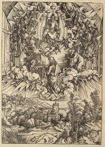 da Albrecht Dürer