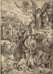  da Albrecht Dürer