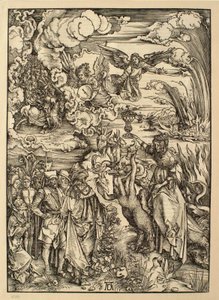  da Albrecht Dürer