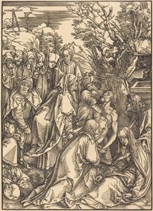  da Albrecht Dürer