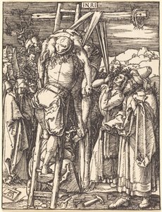  da Albrecht Dürer
