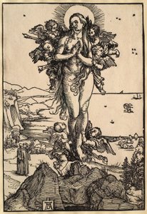  da Albrecht Dürer