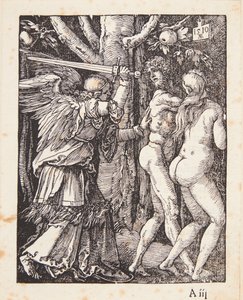  da Albrecht Dürer