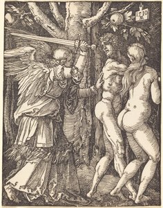  da Albrecht Dürer