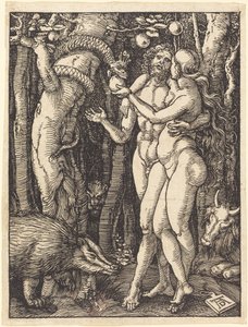  da Albrecht Dürer