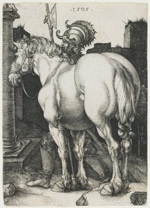 Il grande cavallo da Albrecht Dürer