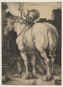  da Albrecht Dürer