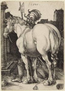  da Albrecht Dürer