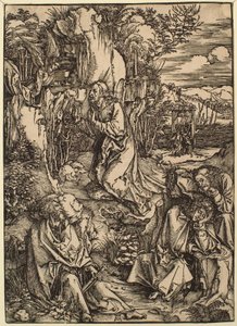  da Albrecht Dürer