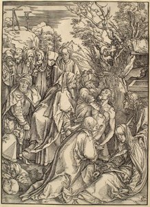  da Albrecht Dürer