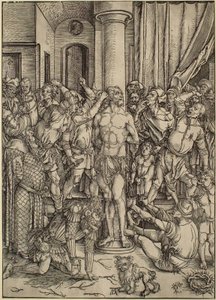  da Albrecht Dürer