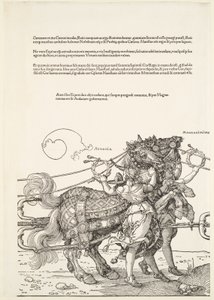  da Albrecht Dürer