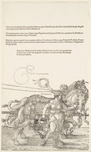  da Albrecht Dürer