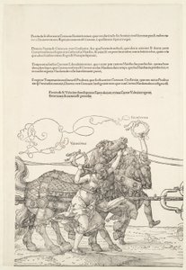  da Albrecht Dürer