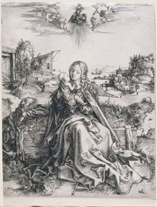  da Albrecht Dürer