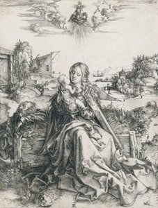  da Albrecht Dürer