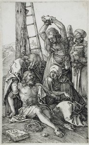  da Albrecht Dürer