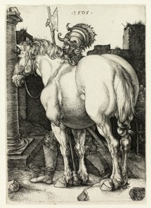Il grande cavallo