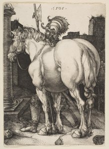  da Albrecht Dürer