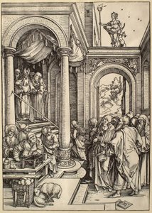 La vita della Vergine: La presentazione della Vergine al Tempio da Albrecht Dürer