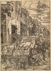  da Albrecht Dürer