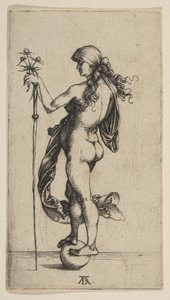 La piccola fortuna da Albrecht Dürer