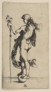 La piccola fortuna da Albrecht Dürer