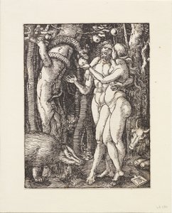  da Albrecht Dürer