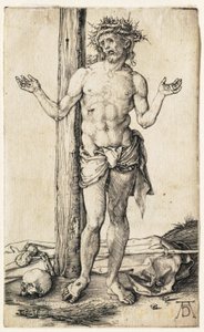  da Albrecht Dürer