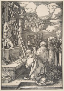  da Albrecht Dürer