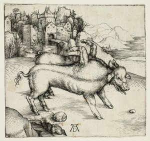 La Scrofa Mostruosa di Landser da Albrecht Dürer