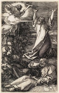  da Albrecht Dürer