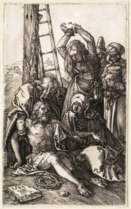  da Albrecht Dürer