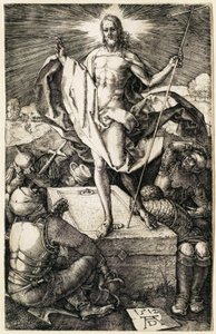  da Albrecht Dürer