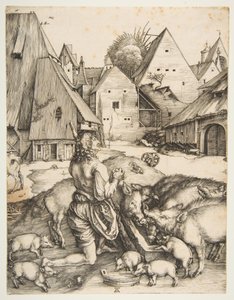  da Albrecht Dürer
