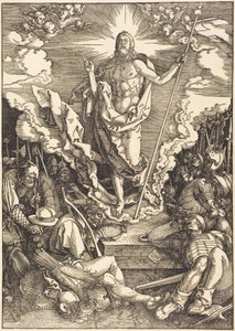  da Albrecht Dürer