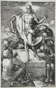  da Albrecht Dürer