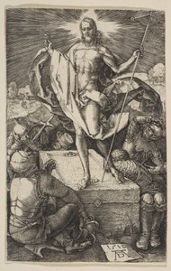  da Albrecht Dürer