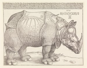 Il rinoceronte da Albrecht Dürer