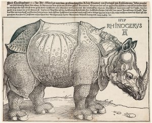 Il rinoceronte