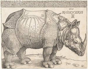  da Albrecht Dürer