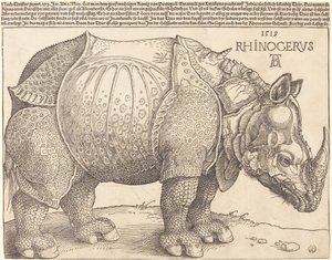 Il Rinoceronte da Albrecht Dürer